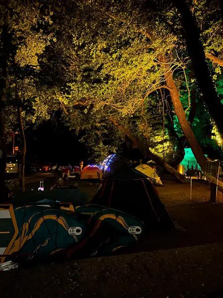 Abelya Camping gece görünümü — aydınlatılmış sığla ağaçları altında çadır alanı, Marmaris Gökova kamp alanı