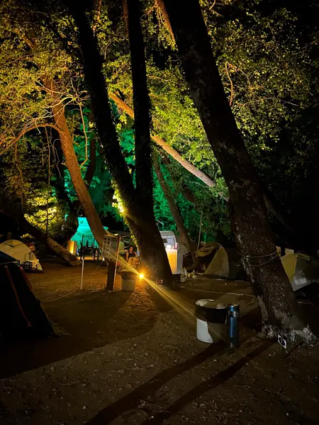 Abelya Camping akşam aydınlatması — sığla ormanında çadır, piknik masası ve ortak alan, Karacasöğüt kamp yeri
