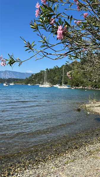 Abelya Camping'den Gökova Körfezi sahili — zakkum çiçekleri, demirli yelkenliler ve çakıl plaj, Marmaris Karacasöğüt kamp alanı